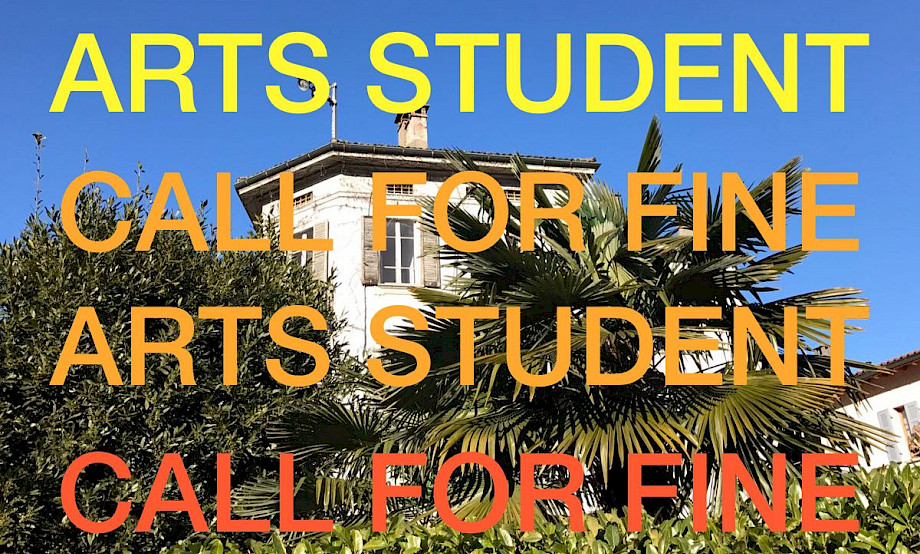 Call for art student